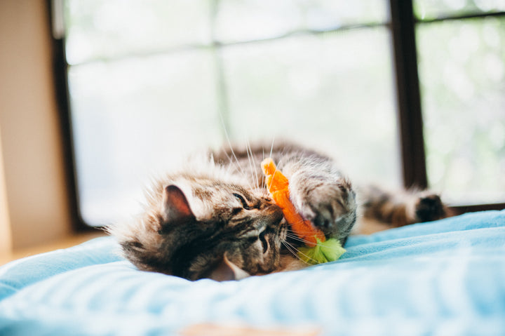 PLAY - Gatos Juguete Verduras Del Huerto