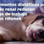 Hill's - Perros K/D Cuidado Renal