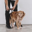 Zeedog - Perros Pechera H Harness - Naturals Canyon