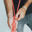 Zeedog - Perros Correa Hands-Free - Nox