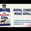 Royal Canin - Perros Adultos Grandes - Pouch
