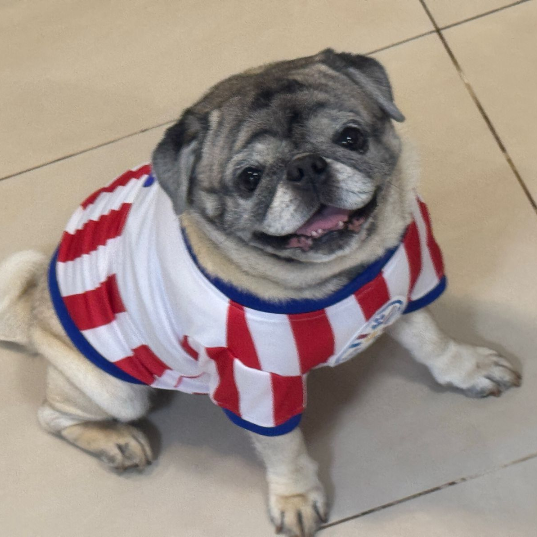 Wanchan - Remera Selección  - Bajo pedido