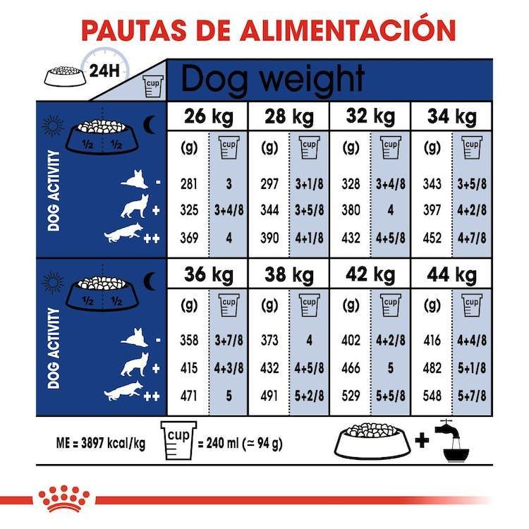 Royal Canin - Perros Adultos 5+ Grandes