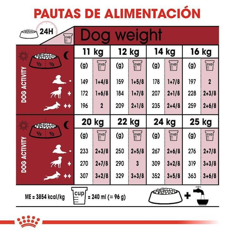 Royal Canin - Perros Adultos 7+ Medianos