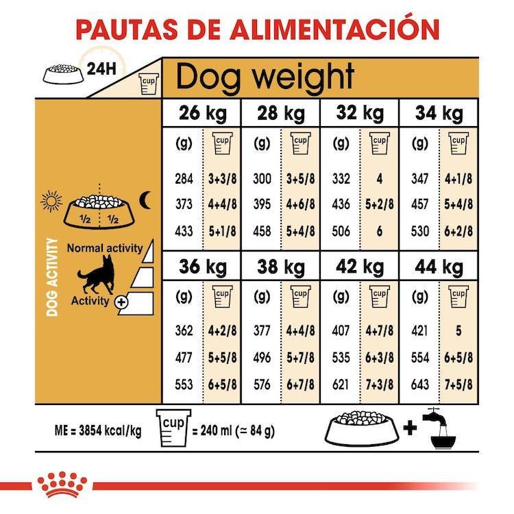 Royal Canin - Perros Adultos Pastor Alemán