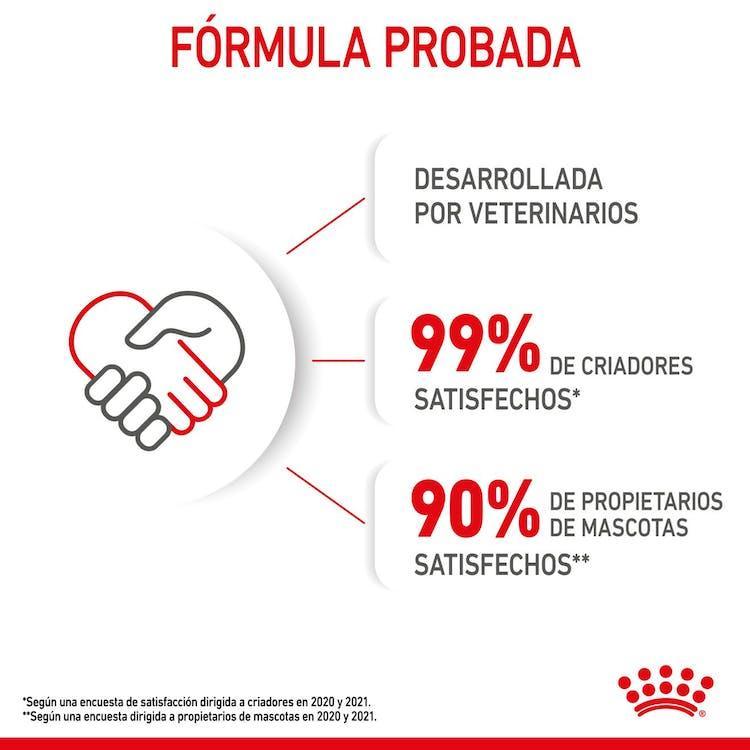 Royal Canin - Gatitos Mother & Baby
