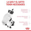 Royal Canin - Gatitos Mother & Baby