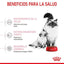Royal Canin - Gatitos Mother & Baby
