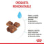 Royal Canin - Gatitos Mother & Baby