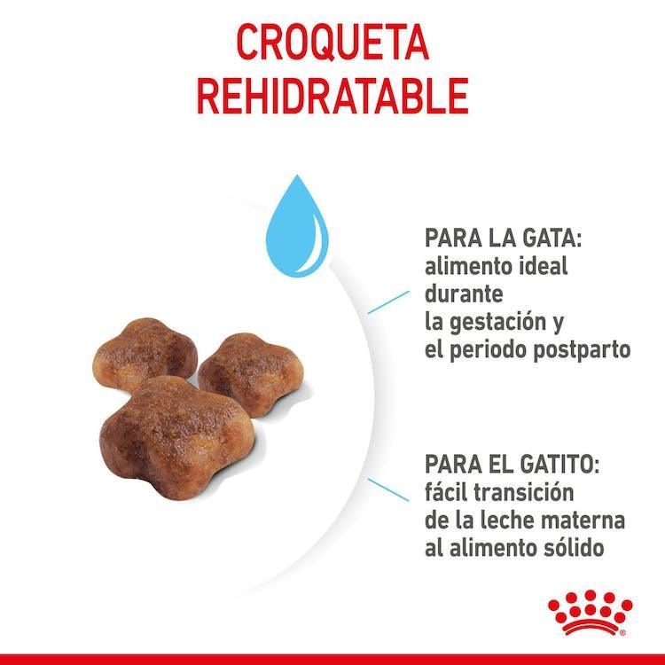 Royal Canin - Gatitos Mother & Baby