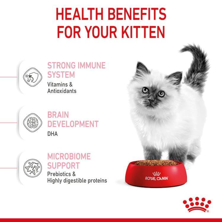 Royal Canin - Gatitos