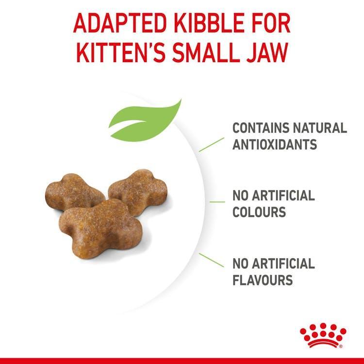 Royal Canin - Gatitos