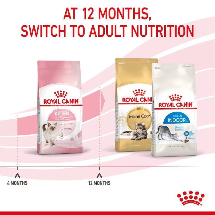 Royal Canin - Gatitos