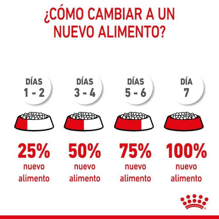 Royal Canin - Gatitos