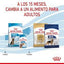 Royal Canin - Perros Cachorros Grandes - Paté