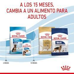 Royal Canin - Perros Cachorros Grandes - Paté