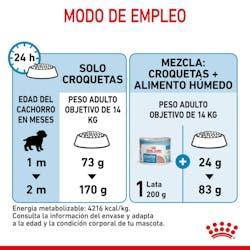 Royal Canin - Perros Medianos Starter M&B