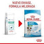 Royal Canin - Perros Cachorros Pequeños - Paté