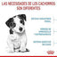 Royal Canin - Perros Cachorros Pequeños - Paté