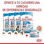 Royal Canin - Perros Cachorros Starter - Paté