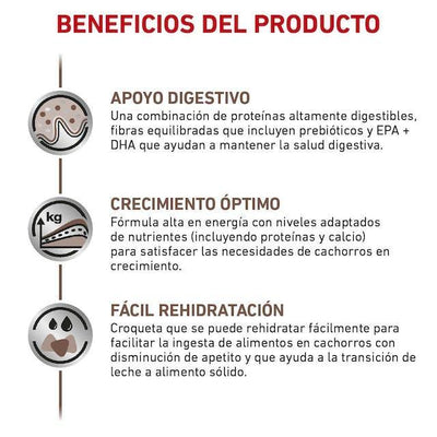 Royal Canin - Perros Cachorros - Gastrointestinal