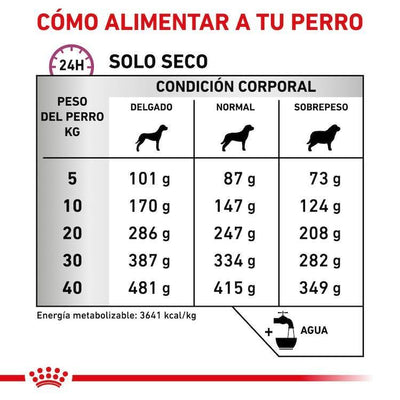 Royal Canin - Perros Adultos - Soporte a Mobilidad