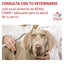 Royal Canin - Perros Adultos - Cuidado Hepático - Lata