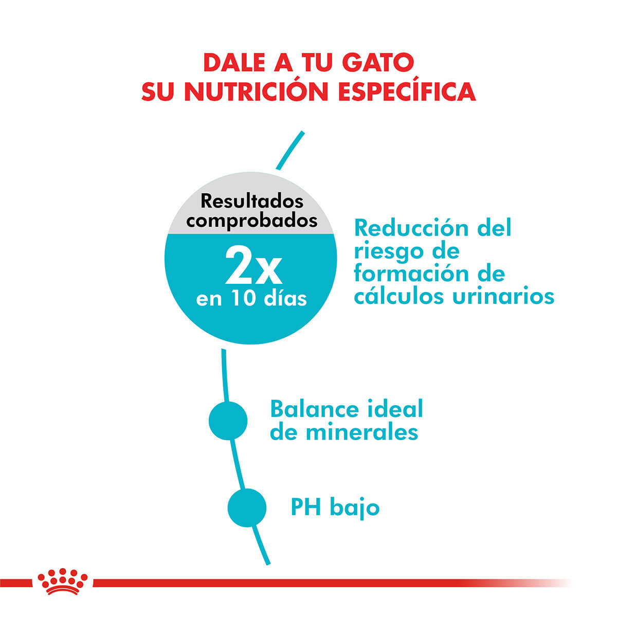 Royal Canin - Gatos Adultos - Cuidado Urinario