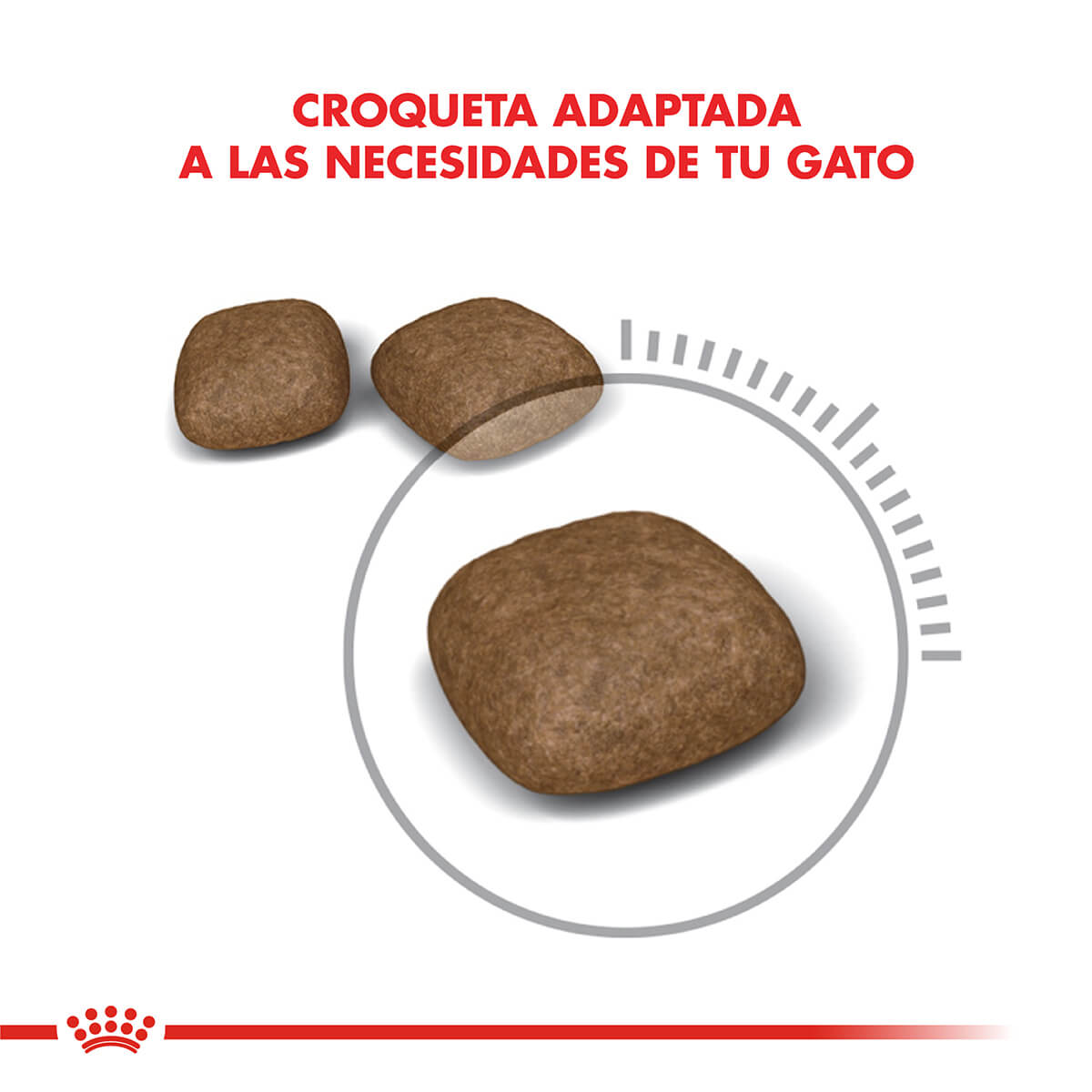 Royal Canin - Gatos Adultos - Cuidado Urinario