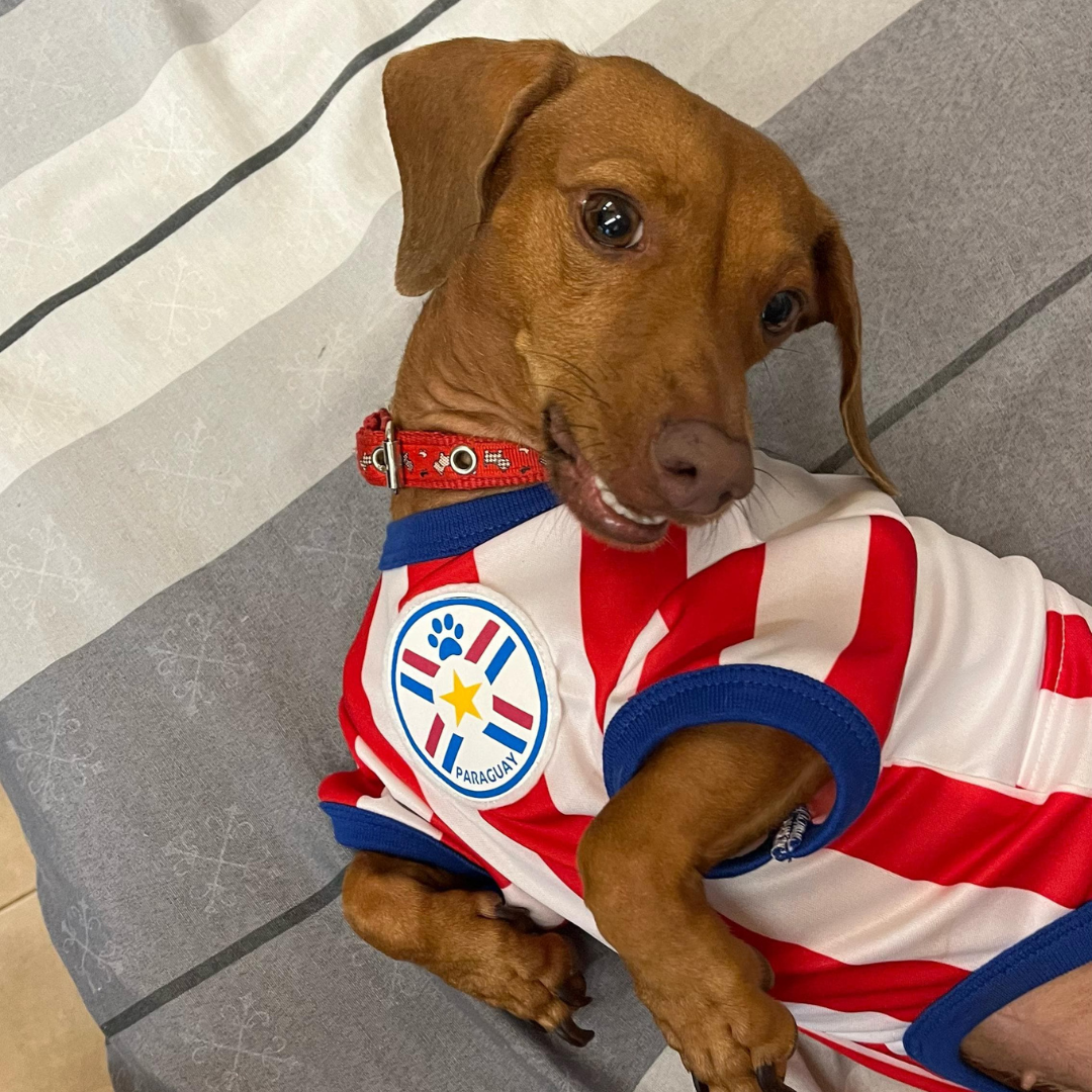 Wanchan - Remera Selección  - Bajo pedido