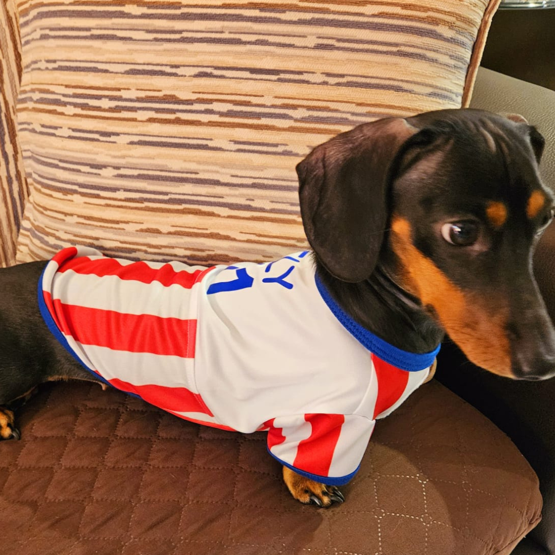 Wanchan - Remera Selección  - Bajo pedido