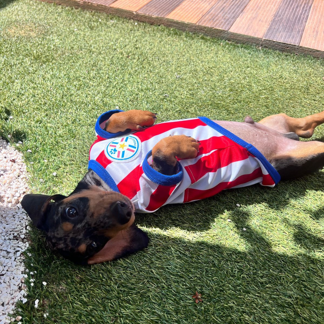 Wanchan - Remera Selección  - Bajo pedido