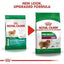 Royal Canin - Perros Adultos Pequeños Indoor