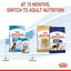 royal canin puppy - Perros Cachorro Maxi | 4Pets
