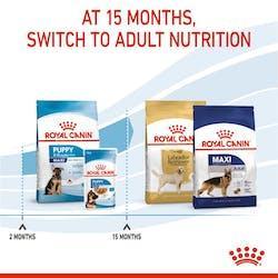 royal canin puppy - Perros Cachorro Maxi | 4Pets
