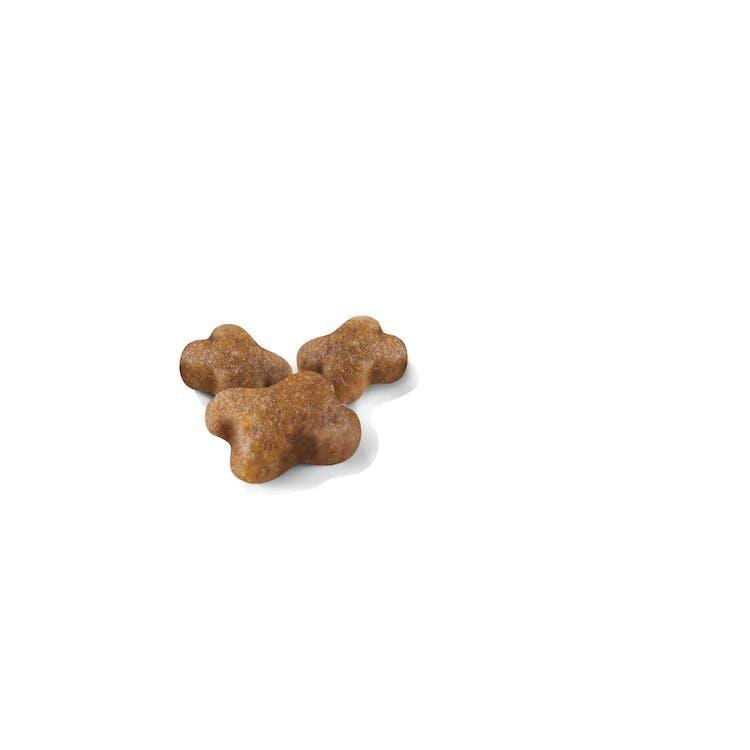 Royal Canin - Gatitos