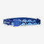 Zeecat - Gatos - Collar - Sweel