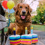 PLAY - Juguete Torta Para Perros