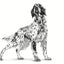 Royal Canin - Perros Adultos - Cuidado Renal