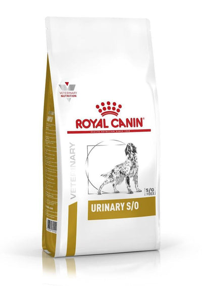 Royal Canin - Perros Adultos & Cuidado Urinario