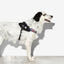 Zeedog - Perros Pechera Fly Harness - Gotham