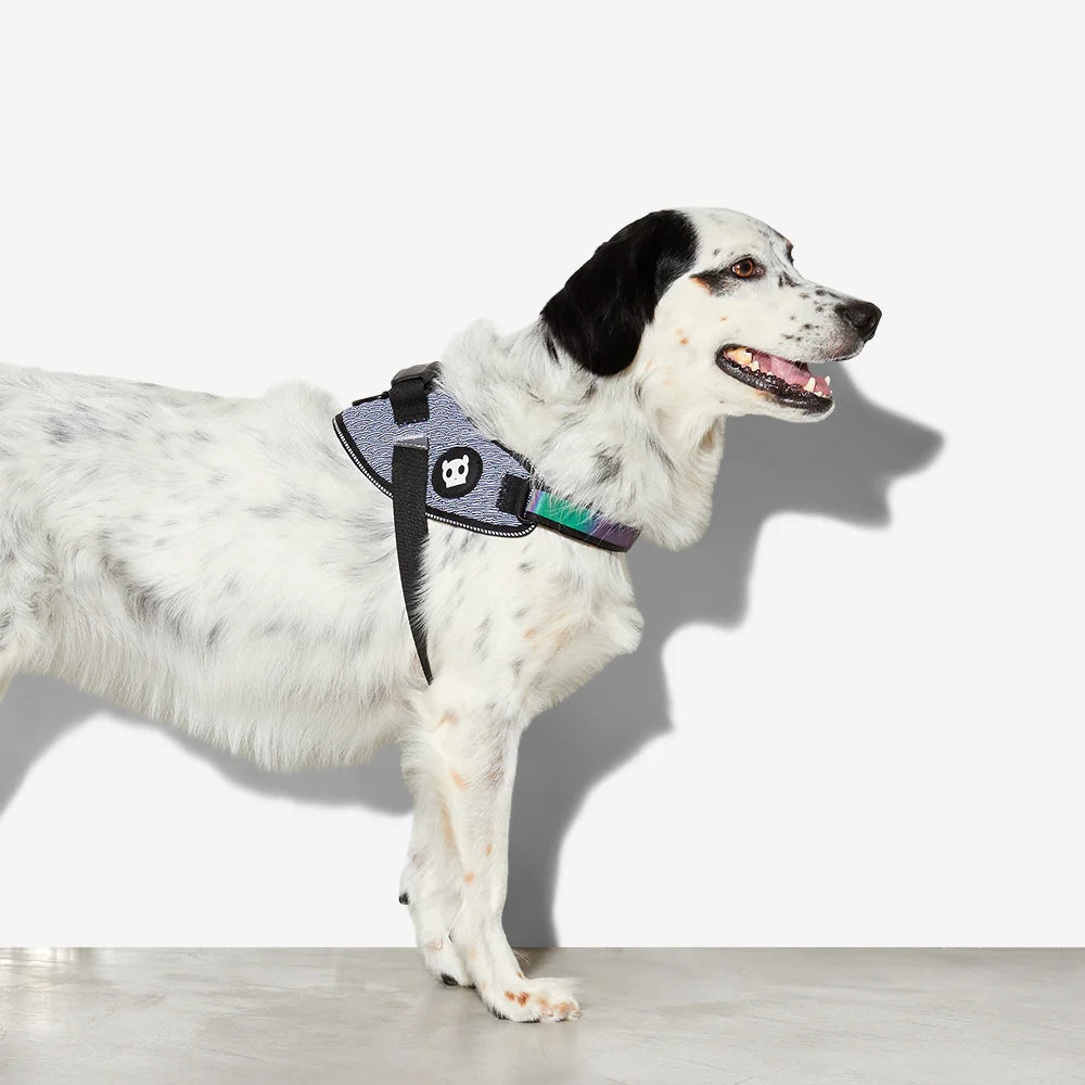 Zeedog - Perros Pechera Fly Harness - Urban