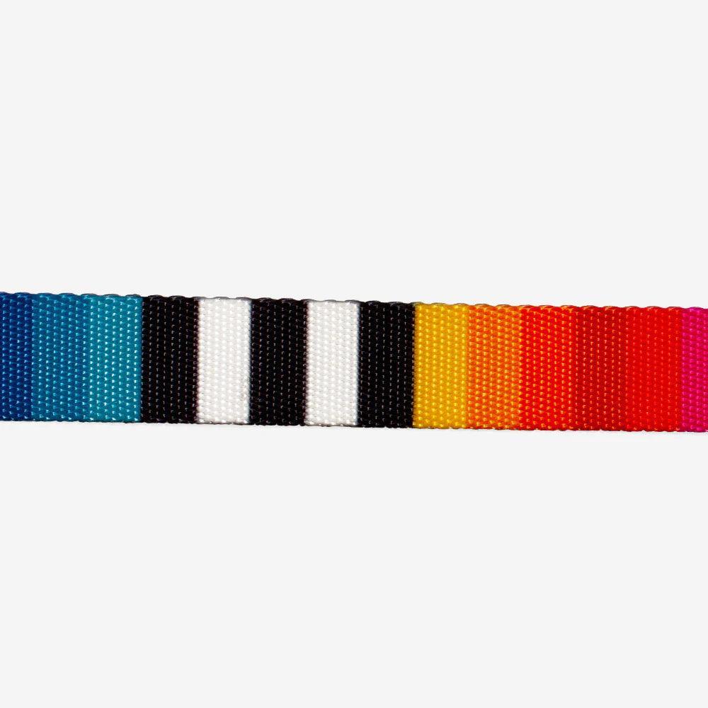 Zeedog - Perros Collar - Prisma