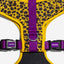 Zeedog - Perros Pechera Airmesh - Honey