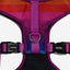 Zeedog - Perros Pechera Airmesh - Prisma