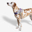 Zeedog - Perros Pechera Fly Harness - Vortex