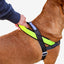 Zeedog - Perros Pechera No-Pull Softerwalk - NOX