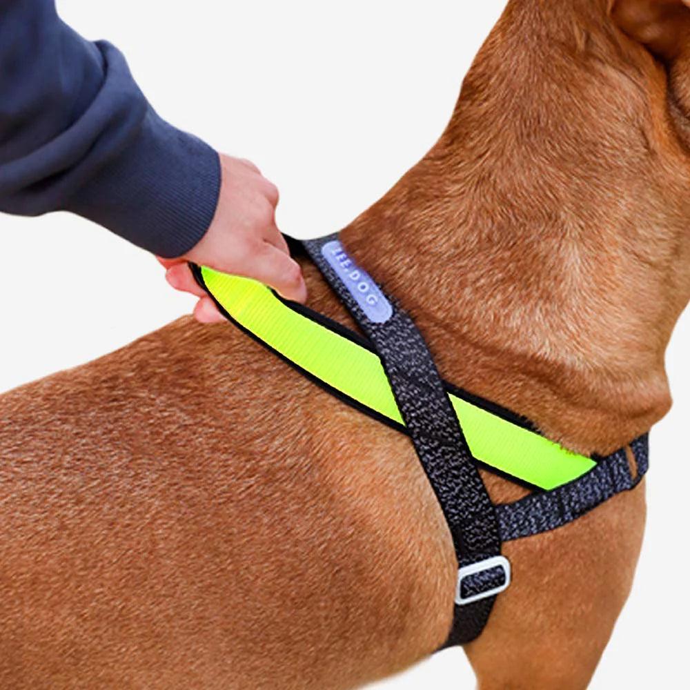 Zeedog - Perros Pechera No-Pull Softerwalk - NOX